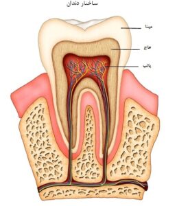 کلینیک دندانپزشکی دکتر بغدادی